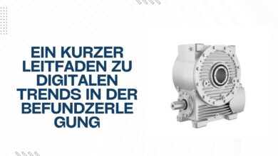 Befundzerlegung